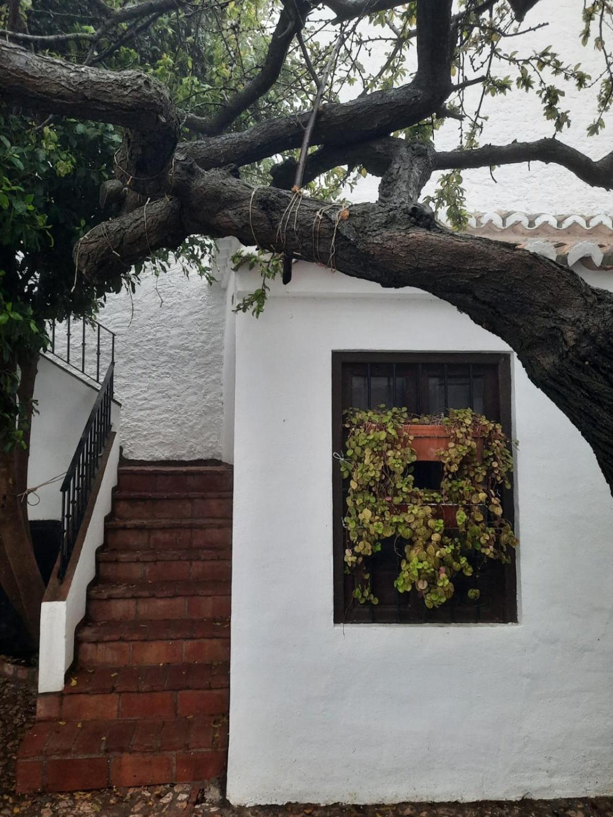 Hotel Rural Verde Oliva Comares Номер фото