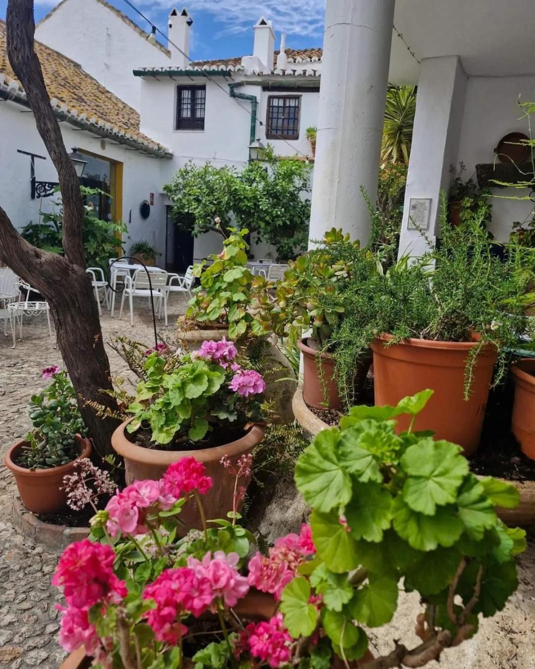 Hotel Rural Verde Oliva Comares Екстер'єр фото