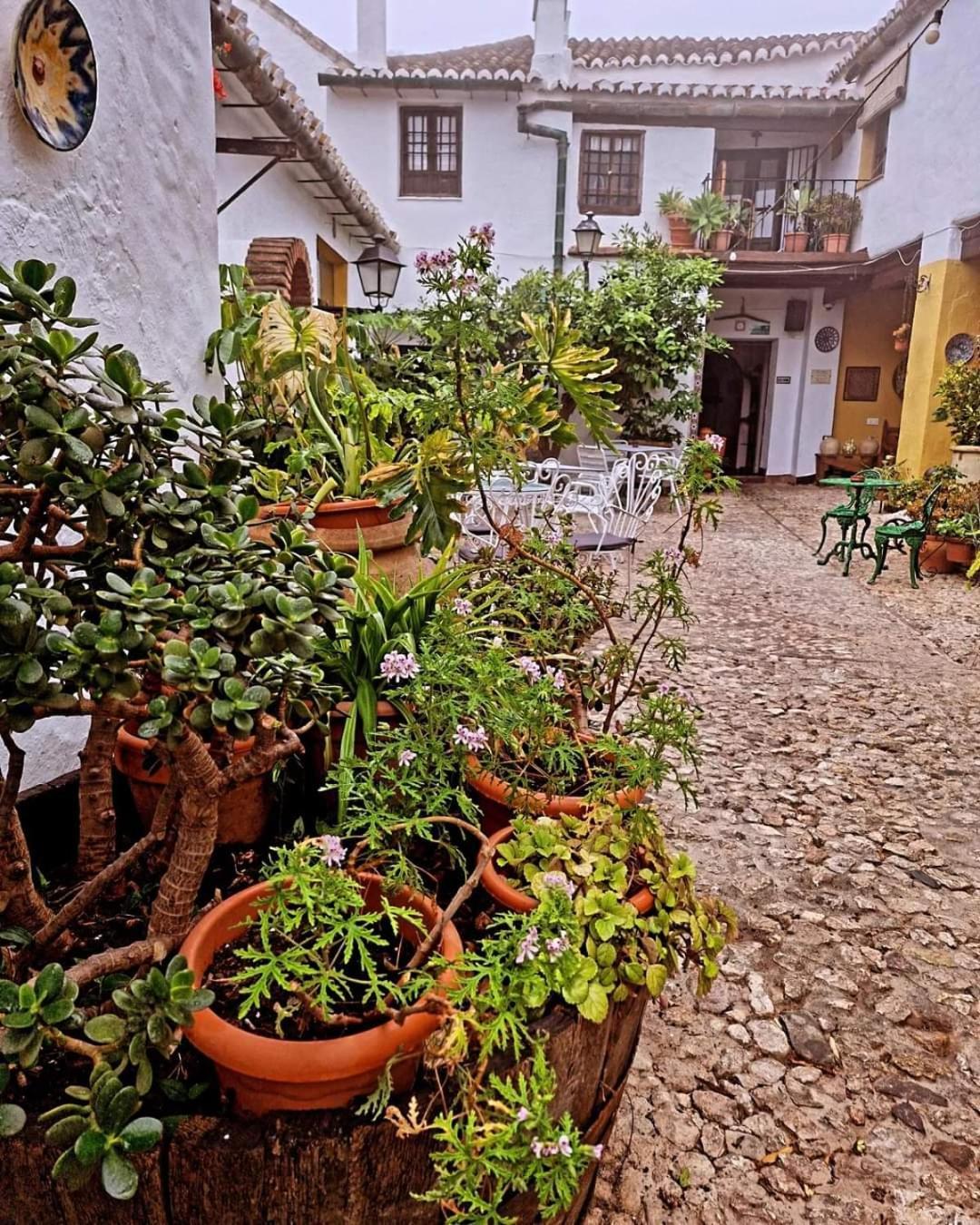 Hotel Rural Verde Oliva Comares Екстер'єр фото